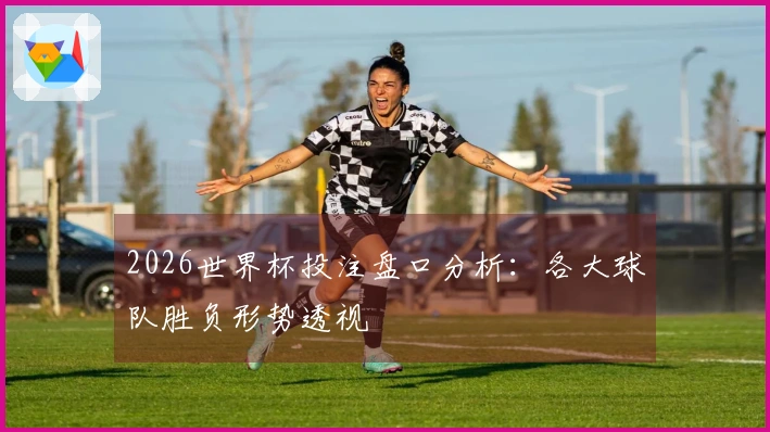 2026世界杯投注盘口分析：各大球队胜负形势透视
