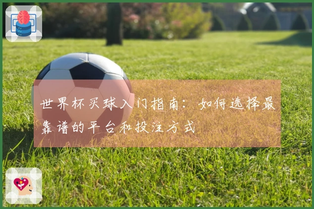 世界杯买球入门指南：如何选择最靠谱的平台和投注方式