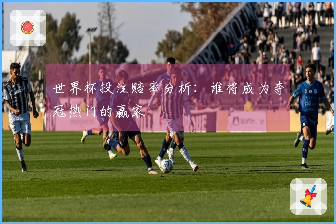 世界杯投注赔率分析：谁将成为夺冠热门的赢家